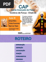 2016 02 16 CAP Centro de Força Rosana de Rosa