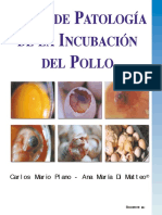 Enciclopedia Incubacion Aves 2
