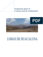 ACR Huaca Luna Moquegua