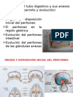 Peritoneo del tubo digestivo y sus anexos.pptx