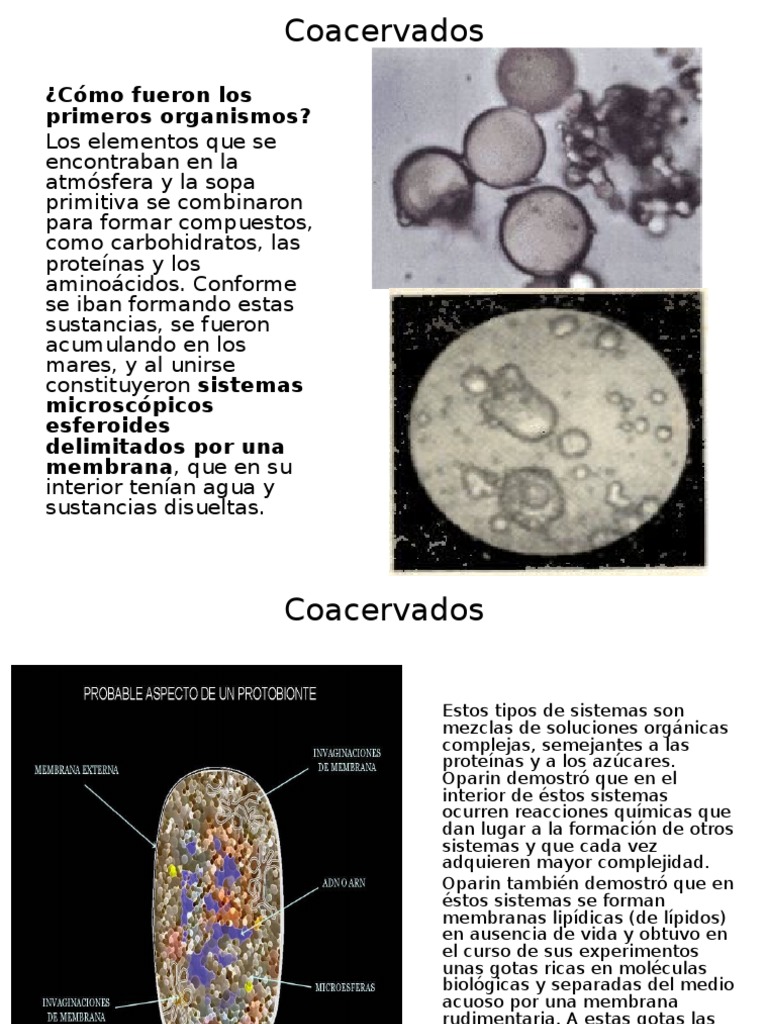 Presentacion_2_Coacervados Célula (Biología) Organismos