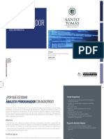 Analista Programador PDF