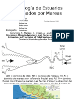 Morfología de Estuarios Dominados Por Mareas, Christian Romero, 2016
