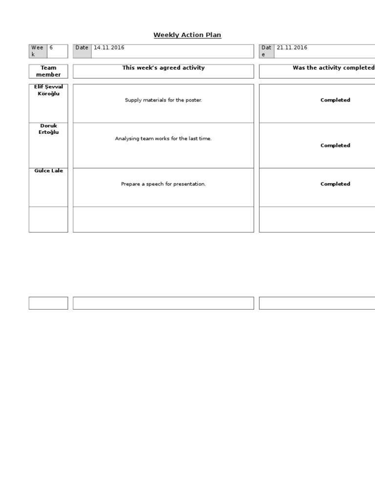 Weekly Action Plan for Team Activities | PDF