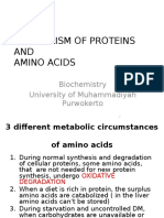3 metabolic pathways of amino acids