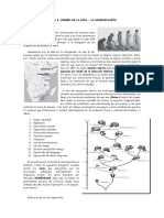 02 La Hominización