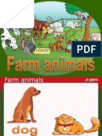 Animals