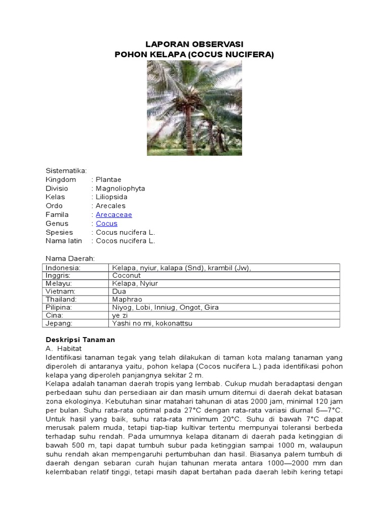 Laporan Hasil Observasi Tentang Pohon KELAPA 1