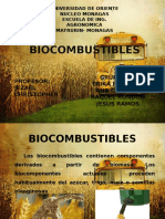 Presentacion Biocombustibles