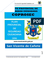 Plan Provincial Canete 2016