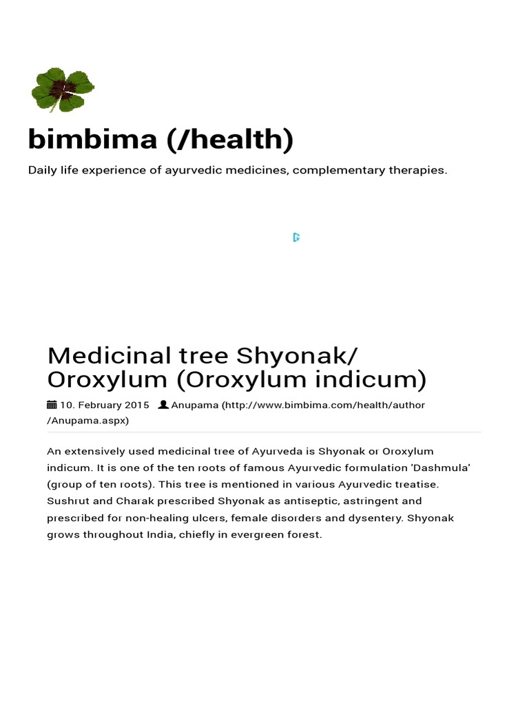 Medicinal Tree Shyonak Oroxylum Oroxylum Indicum | PDF | Ayurveda | Plants
