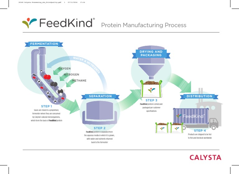 Calysta Protein Fermentation Process | PDF | Fermentation | Biology