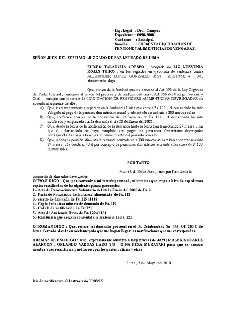 Escrito de Liquidación de Pensiones Devengadas | Pensión alimenticia