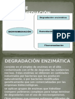 Tipos de Biorremediacion