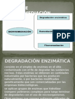 TIPOS DE BIORREMEDIACION.pptx