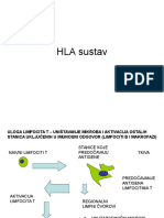 HLA Sustav BLT2013