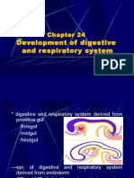 Development of Digestive and Respiratory System