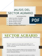 Analisis Del Sector Agrario