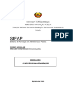 Modulo III- Individuo Na Organização