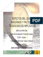 10 Defectosdelqueso PDF
