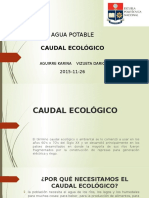 caudal ecologico