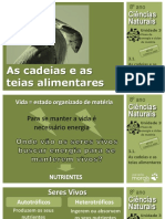 CN8 Cadeias Teias Alimentares PDF