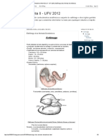 Anatomia Veterinária II - UFV 2012_ Estômago Dos Animais Domésticos (2)