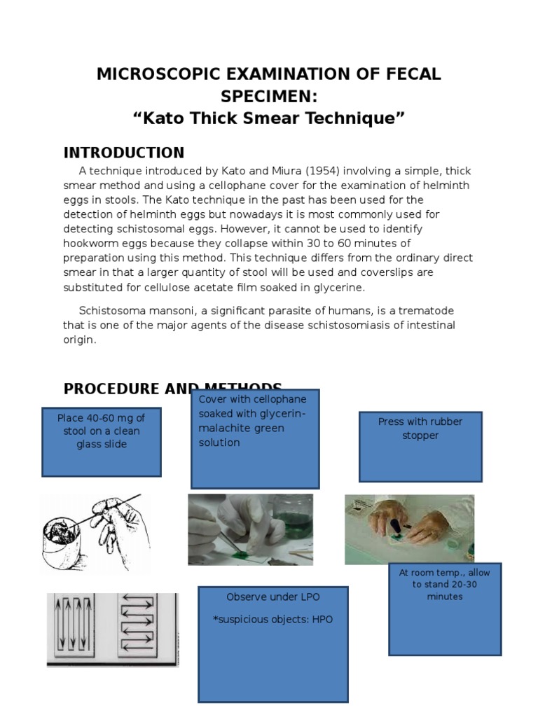 7-kato-thick-smear-technique-download-free-pdf-diseases-and