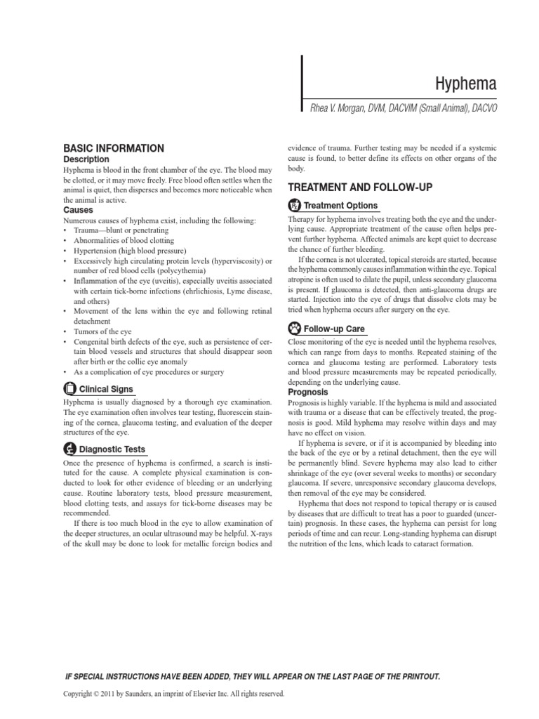Hyphema: Basic Information | PDF