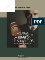 Criterios en La Determinación de La Pensión de Alimentos en La Jurisprudencia