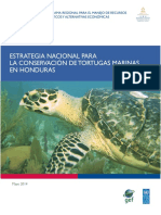 Estrategia Nacional de Tortugas Marinas DIBIO
