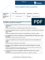 MIV-U2 - Actividad 1. Fuerza Magnética Sobre Una Partícula Cargada