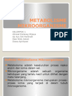 Metabolisme Mikroorganisme