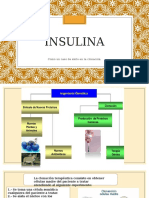 Insulina