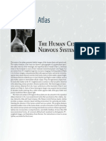 Atlas Human Cns