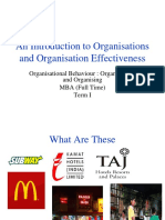 An Introduction to Organisations