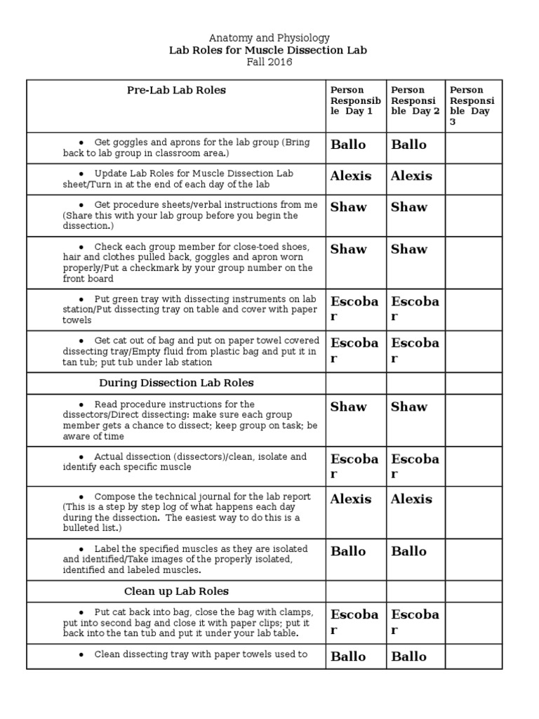 Muscle Dissection Lab Roles Guide | PDF
