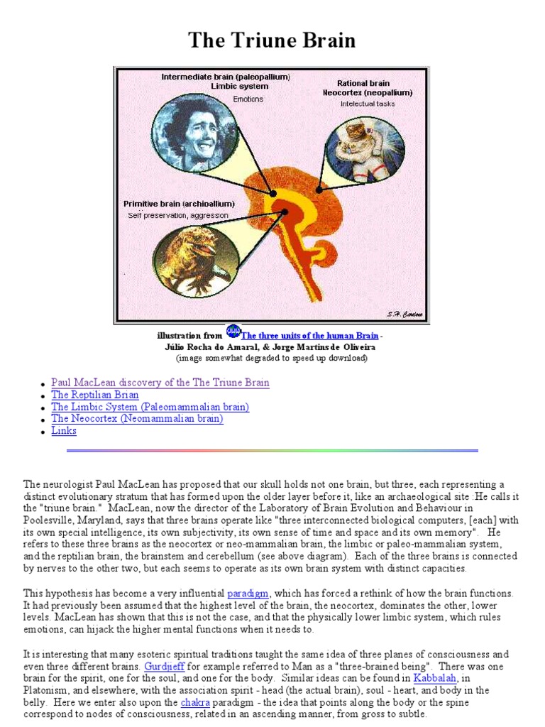 Understanding the Triune Brain Theory | PDF | Limbic System | Neocortex