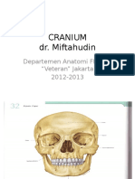 CRANIUM.pptx