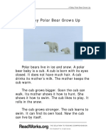 260 A Baby Polar Bear Grows Up PDF