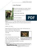 620 A Fawn in The Forest PDF