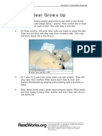 720 A Polar Bear Grows Up PDF