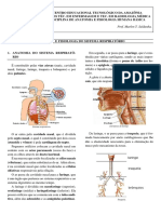 Aula 9 - Anatomia e Fisiologia Do Sistema Respiratório