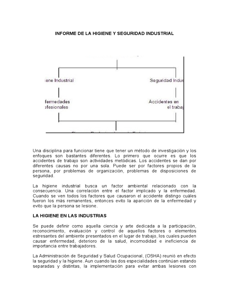 Informe de Higiene y Seguridad Industrial | PDF | Seguridad y salud ...