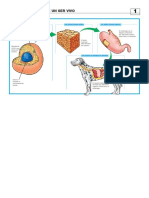 matcon5.pdf