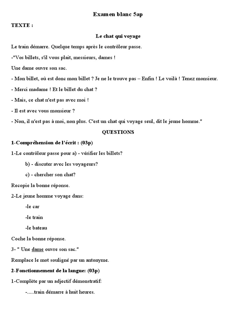 Examen Blanc 5ap Texte Le Chat Qui Voyage