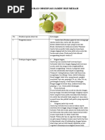 Laporan hasil observasi tentang pohon KELAPA.docx