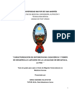 Tesis Entomologia Bolivia PDF
