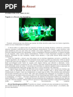 Bioquímica Do Álcool