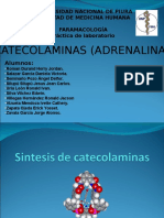 CATECOLAMINAS